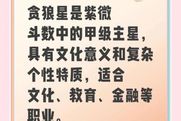 紫微斗数置闰 紫微斗数术语？