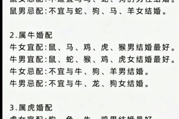 八字合婚 鼠和狗的属相适合做夫妻吗