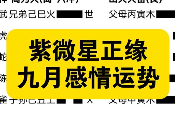 紫薇星必须要与正缘结婚吗