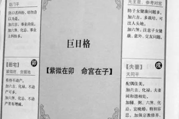 紫薇斗数意思