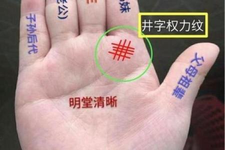4个斗的男人是什么命 手指斗的数量代表什么命