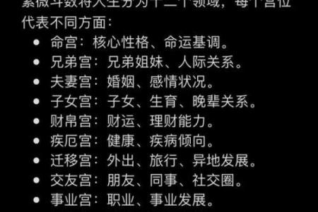 紫薇夫妻宫详解