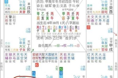 紫薇斗数流年年父