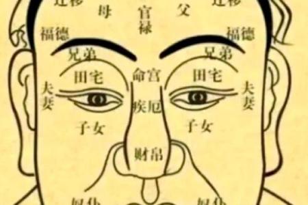 面相算命图解十二宫之：田宅宫