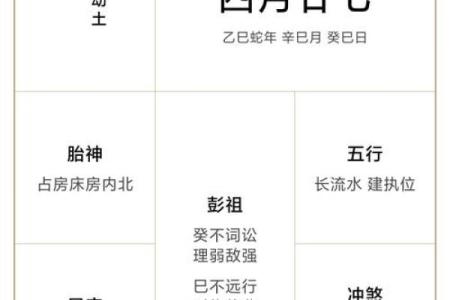 八字己巳日