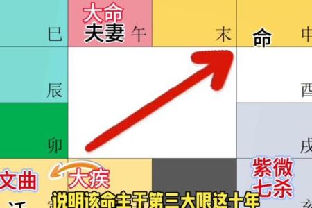 紫薇斗数紫薇入命宫