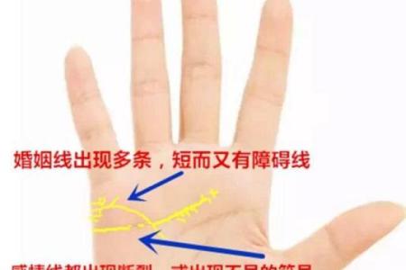 风水解读感情线断开上下两条好不好