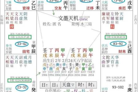 紫薇斗数怎么算命