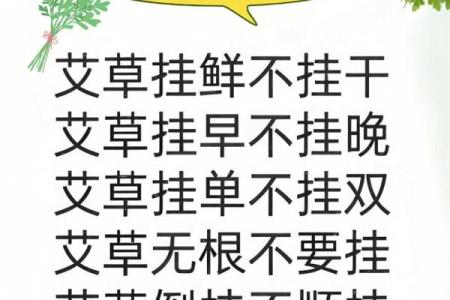 为什么艾草不能送人有什么风水说法