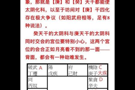 紫薇斗数庚子年
