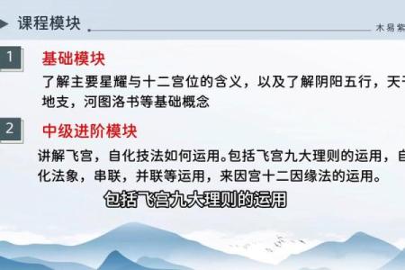 紫薇斗数视频