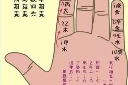 手指算命,手指掐算算命图解