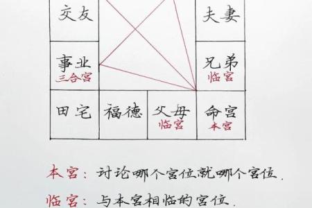 蔡明宏紫薇斗数