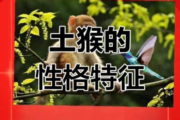 1968年属什么生肖几岁 1968年属什么生肖配对
