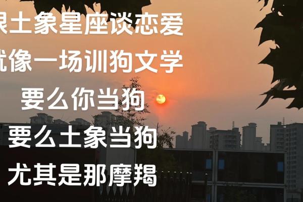 生肖狗摩羯座男的性格特点以及配对解析