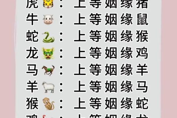 最佳的十二生肖婚姻配对大全