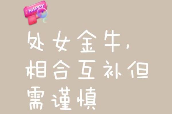 处女座男和什么座最配对,处女座男和什么座最配