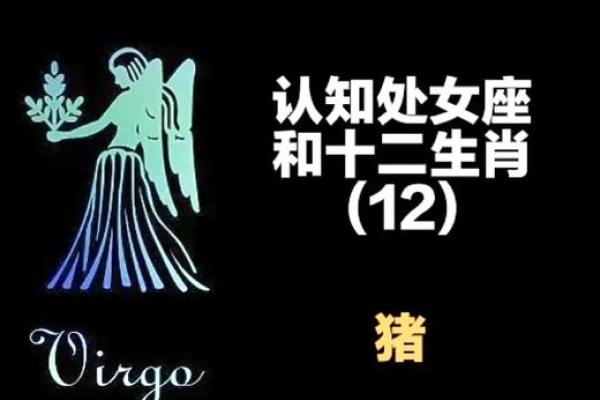 属猪和处女座女配对如何