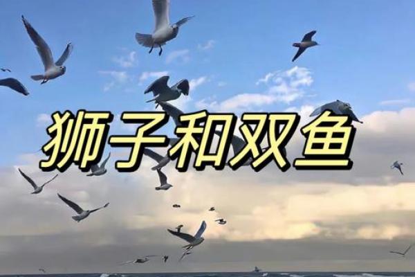 双鱼跟狮子座友情配对吗