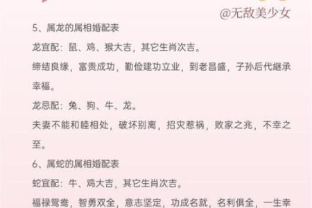 婚姻属相配对大全很准