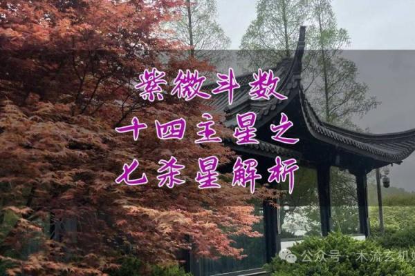 紫微斗数排盘解析,紫微十四主星七杀星