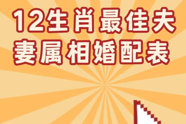 属相婚配表配对查询