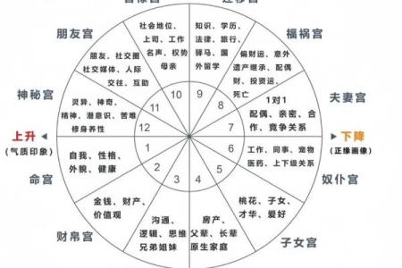 星盘测姻缘准吗
