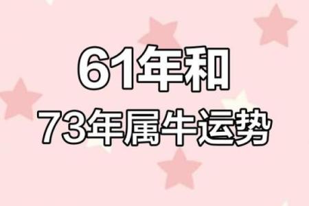 61年属什么生肖配对