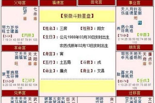 紫薇斗数身宫在哪