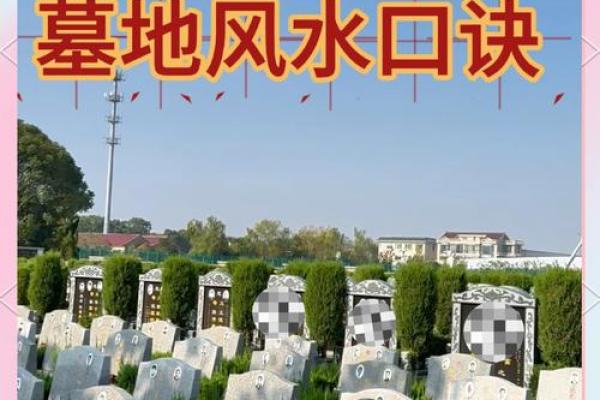 选择墓地风水的原则是什么