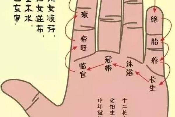 白鹤神数量指算命
