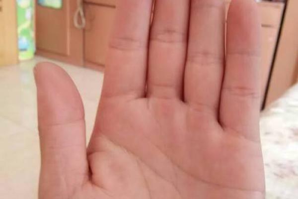 白鹤神数量指算命