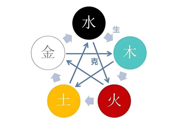 生辰八字五行木代表什么 生辰八字木代表什么意思