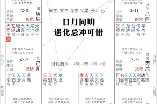 了无居士紫薇斗数