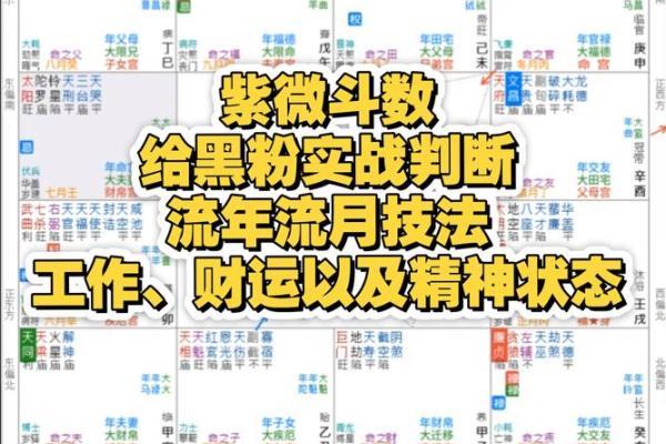 紫薇斗数怎么分析