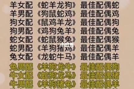 猪的生肖配对