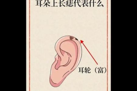风水上耳朵有痣的人命运