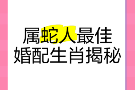 属猴的和属蛇的配对是否合适