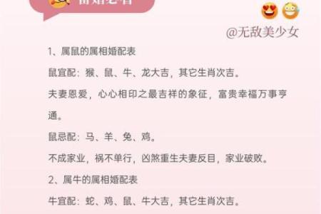 生肖配对是什么-合婚时生肖配对有多大影响