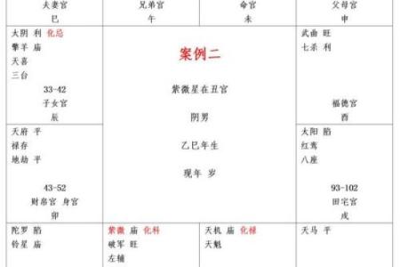 紫微斗数之夫妻宫与诸星，天相星在夫妻宫是什么意思？