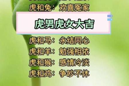 生肖虎配对