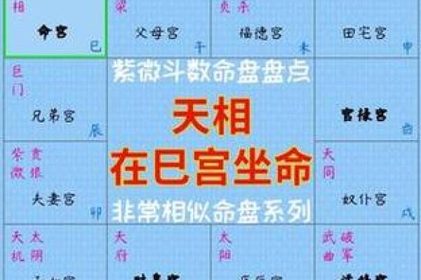 紫薇斗数紫薇天相