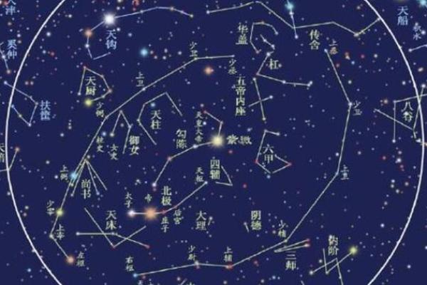 紫薇斗数紫薇天相