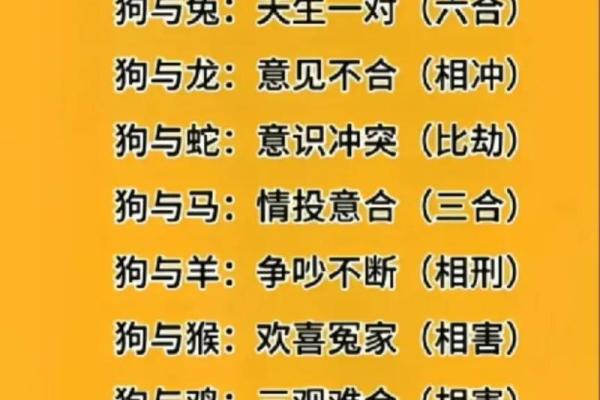 属羊和什么属相最配对 属羊和什么属相相冲