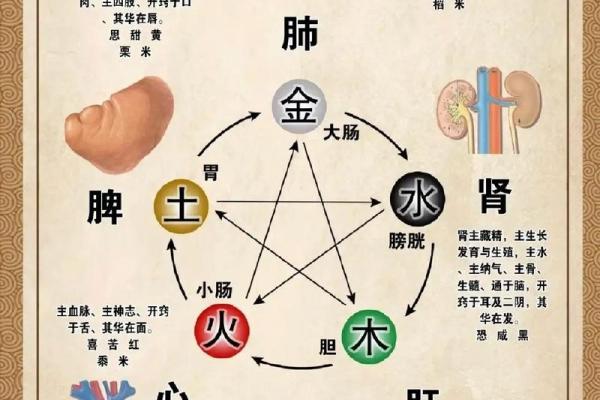 八字五行金