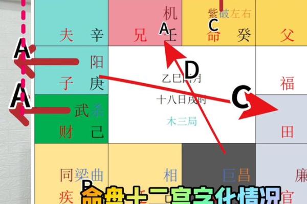 短命紫薇斗数