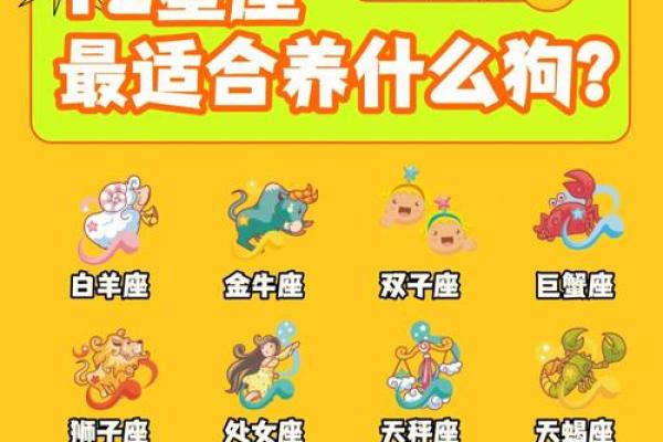 12星座长大开什么店最适合
