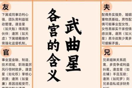 天相在命宫，紫微斗数天相星入命宫详解
