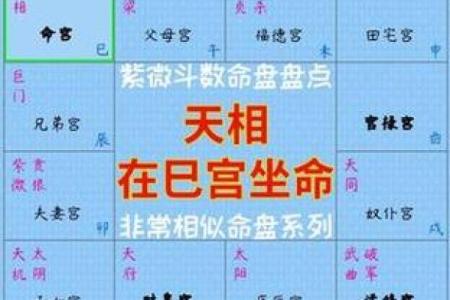紫薇斗数紫薇天相