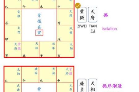 紫微斗数之生年干四化表象：财帛宫四化